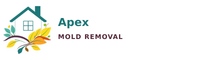 Apex Mold Removal